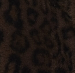 BROWN LEOPARD
