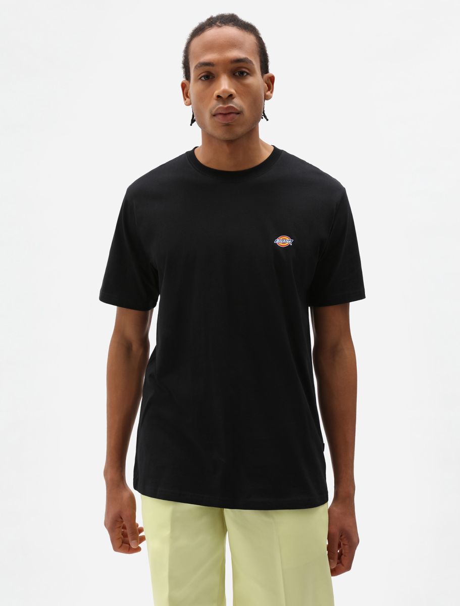 DICKIES T-SHIRT MAPLETON