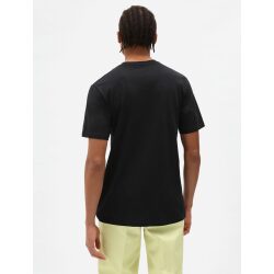 Alternative view of DICKIES T-SHIRT MAPLETON