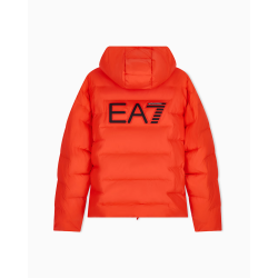 Alternative view of EA7 BOMBER TRAPUNTATO CON CAPPUCCIO E MAXI LOGO POSTERIORE